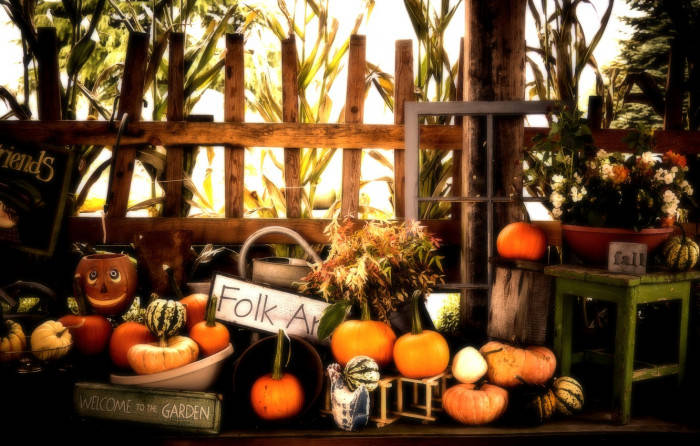 Pumpkin Display On Table Fall Halloween