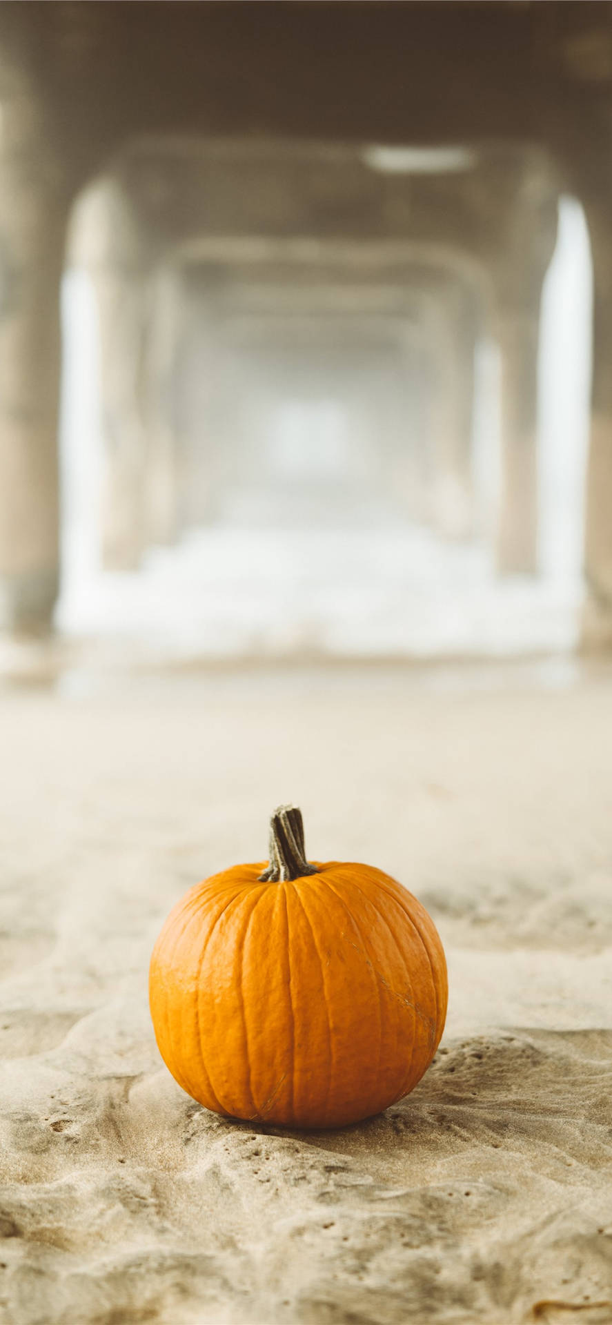 Pumpkin On Sand Thanksgiving Iphone Background