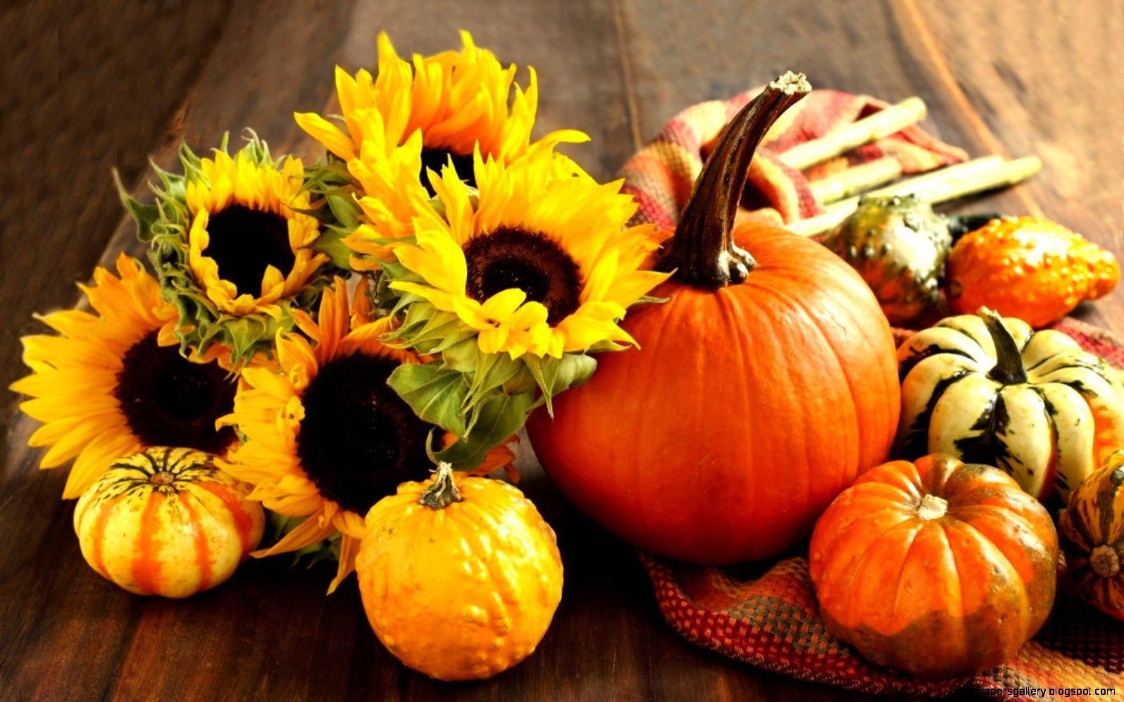 Pumpkins And Sunflowers Fall Halloween Background