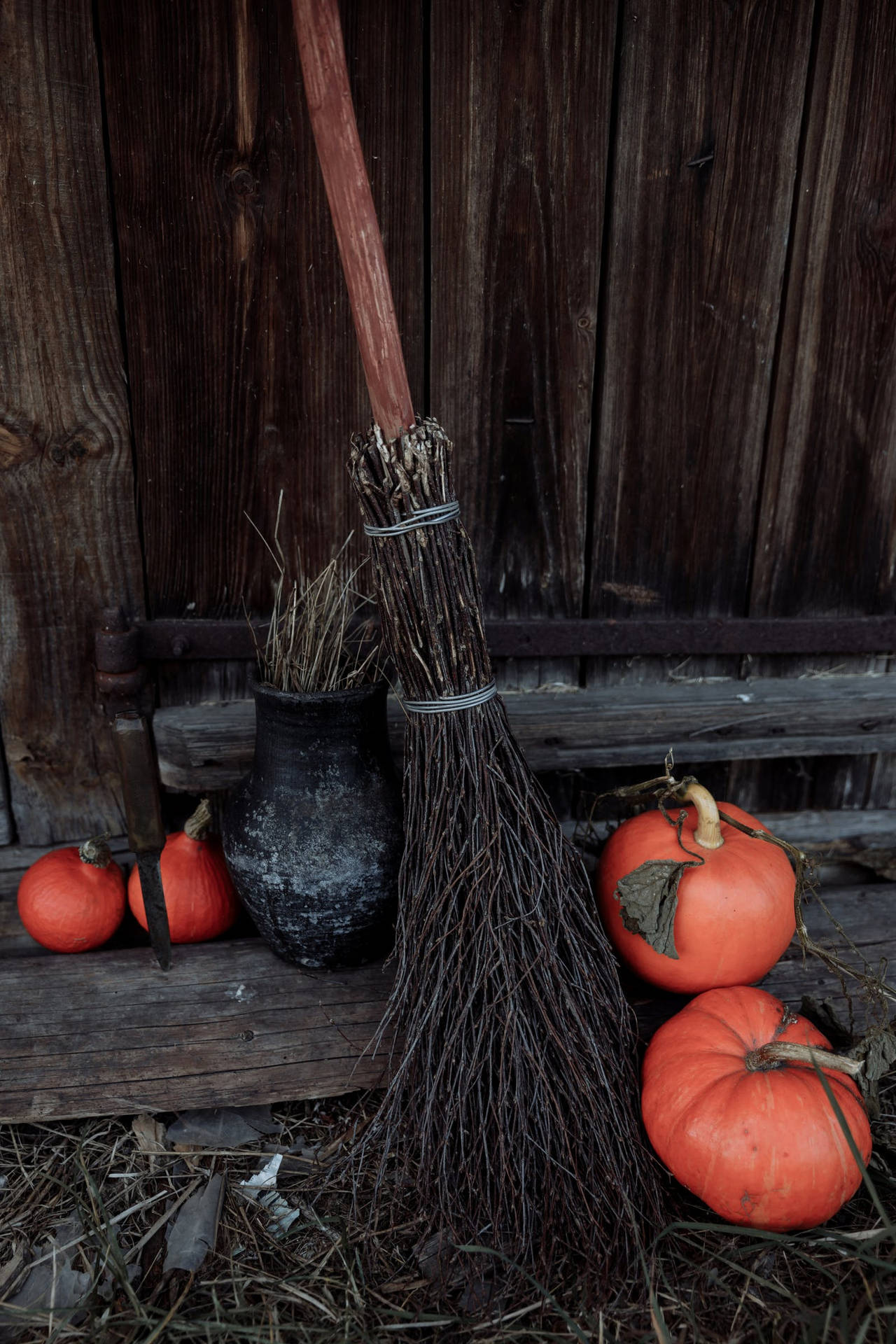 Pumpkins Beside Rustic Fall Broomstick Background