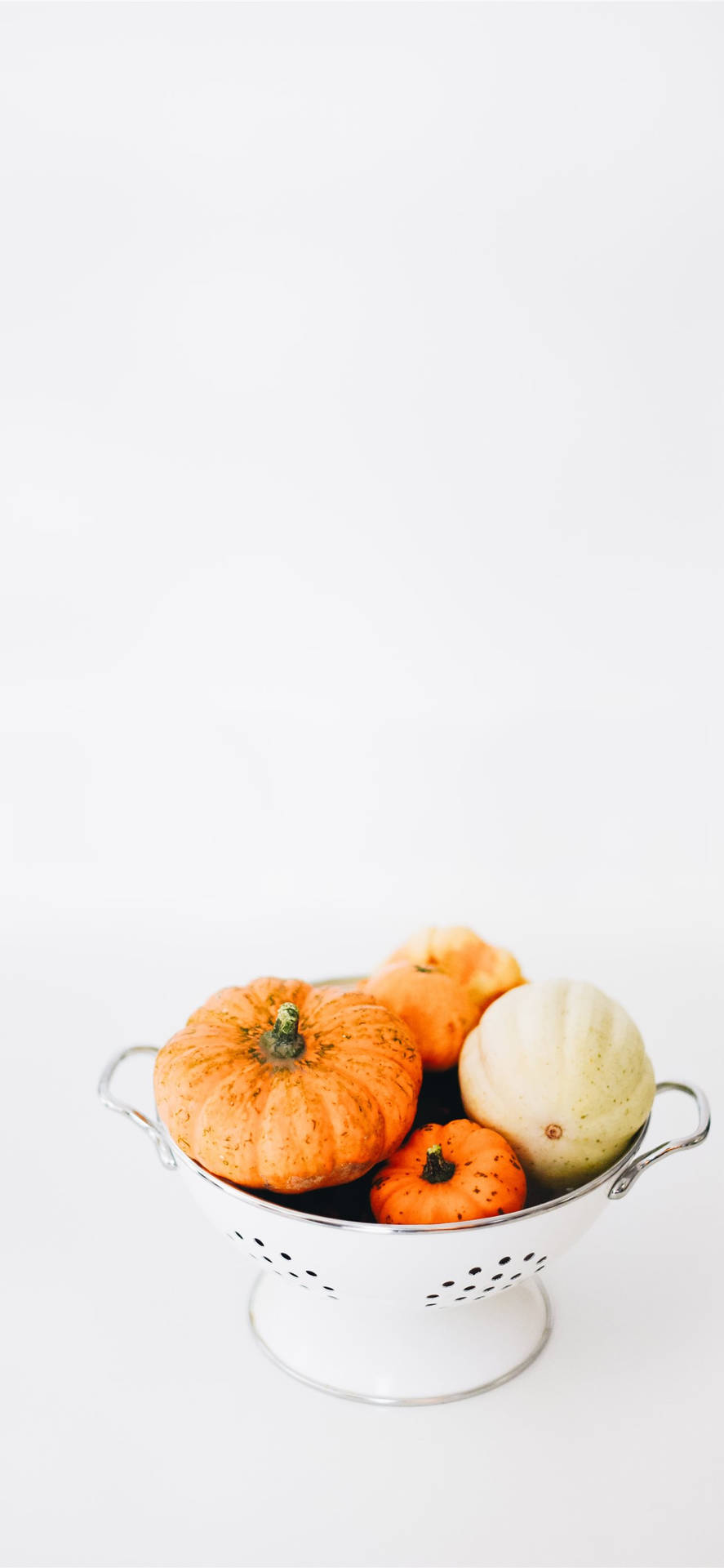 Pumpkins Centerpiece Thanksgiving Iphone Background