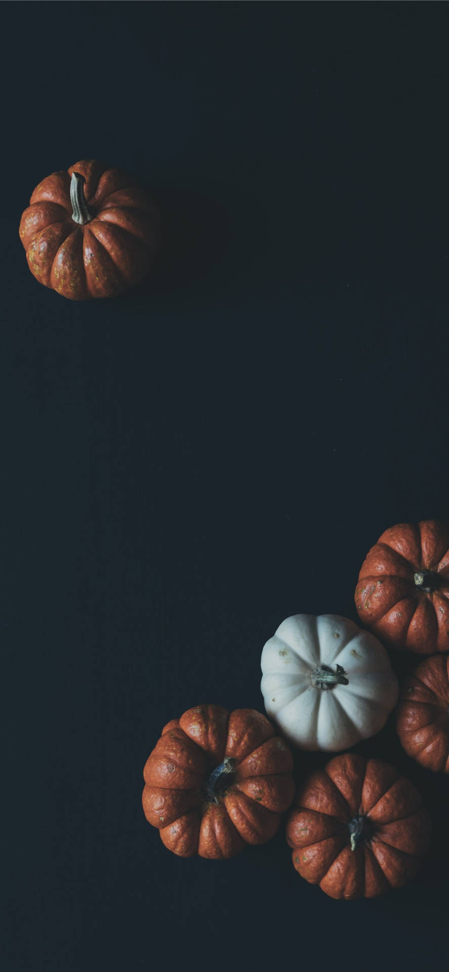 Pumpkins On Black Background Thanksgiving Iphone Background