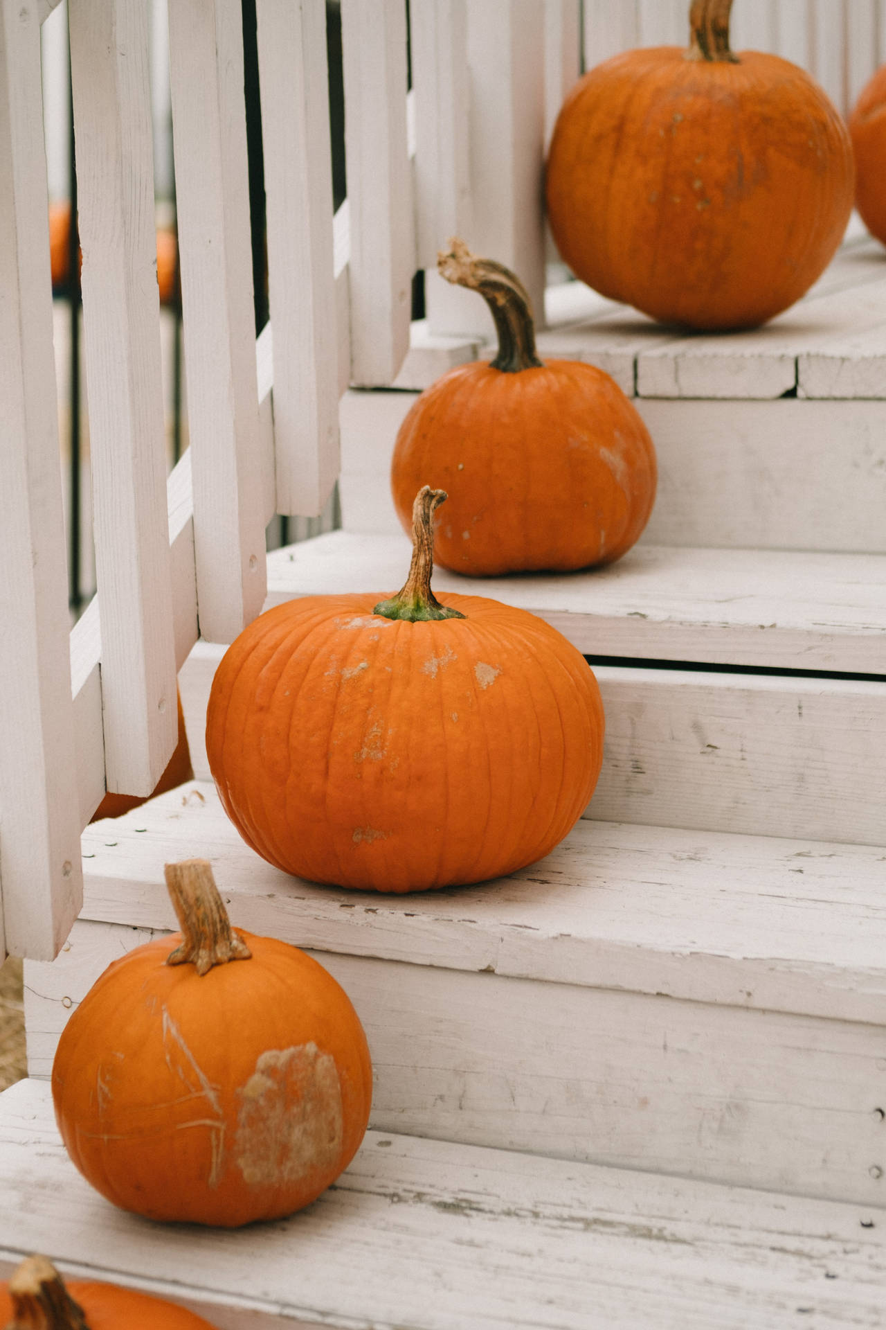 Pumpkins On Staircase Background