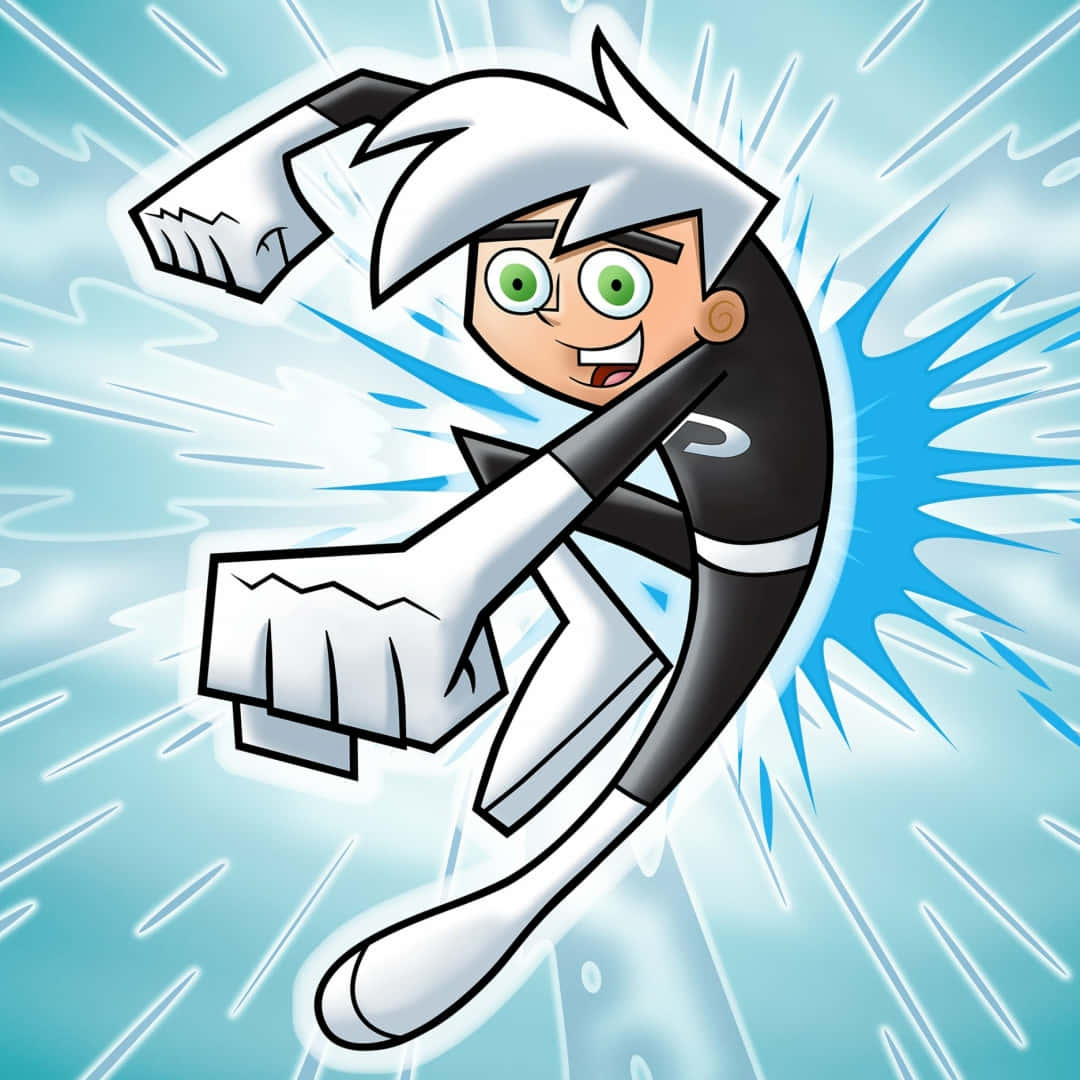 Punch Danny Phantom Pfp