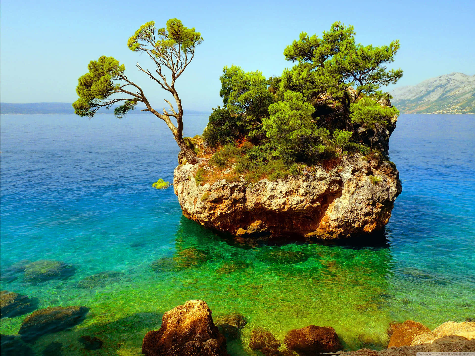 Punta Rata In Crotia
