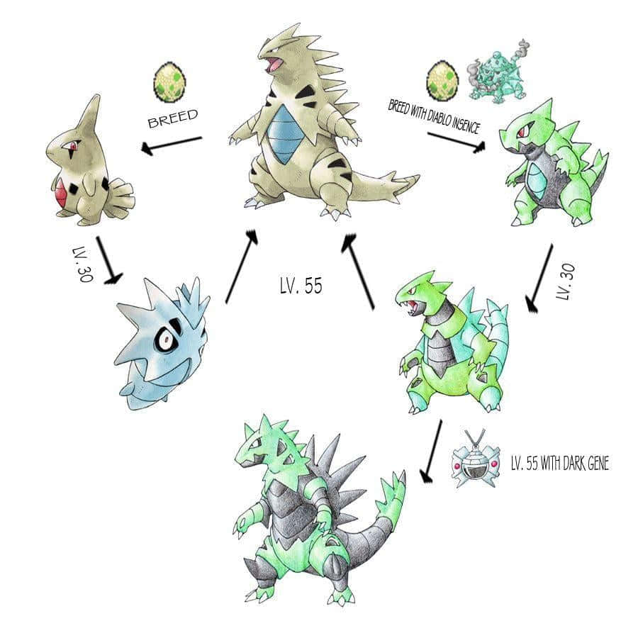 Pupitar, An Intermediate Evolutionary Stage Pokemon Background
