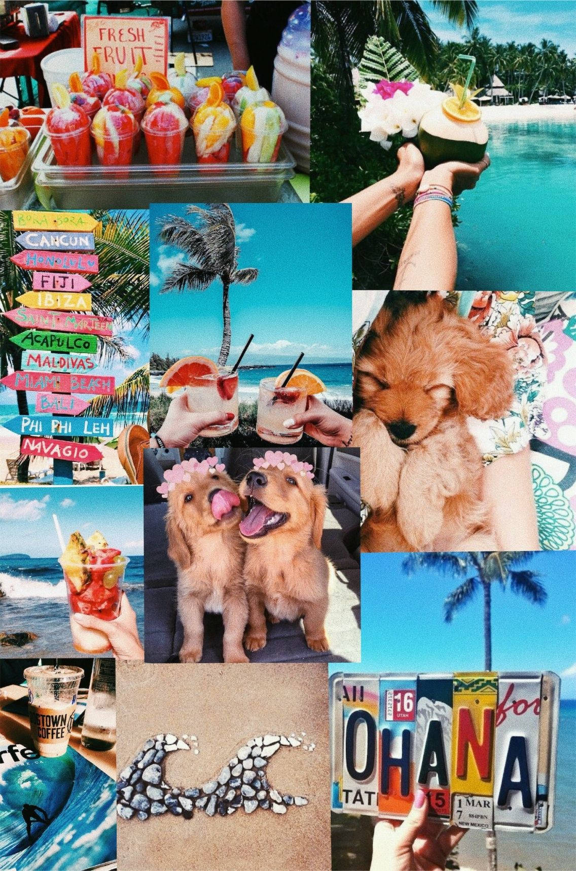 Puppies Summer Vibes