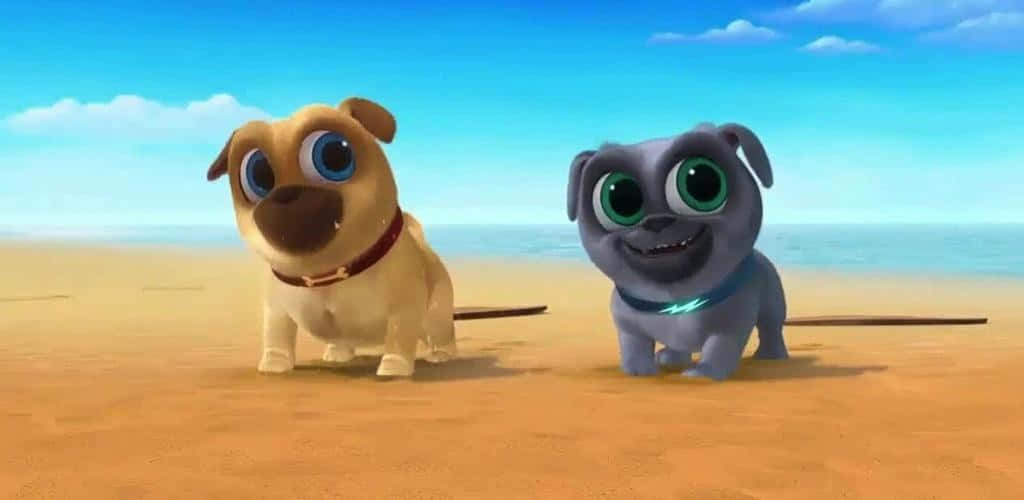 Puppy Dog Pals Brothers Background