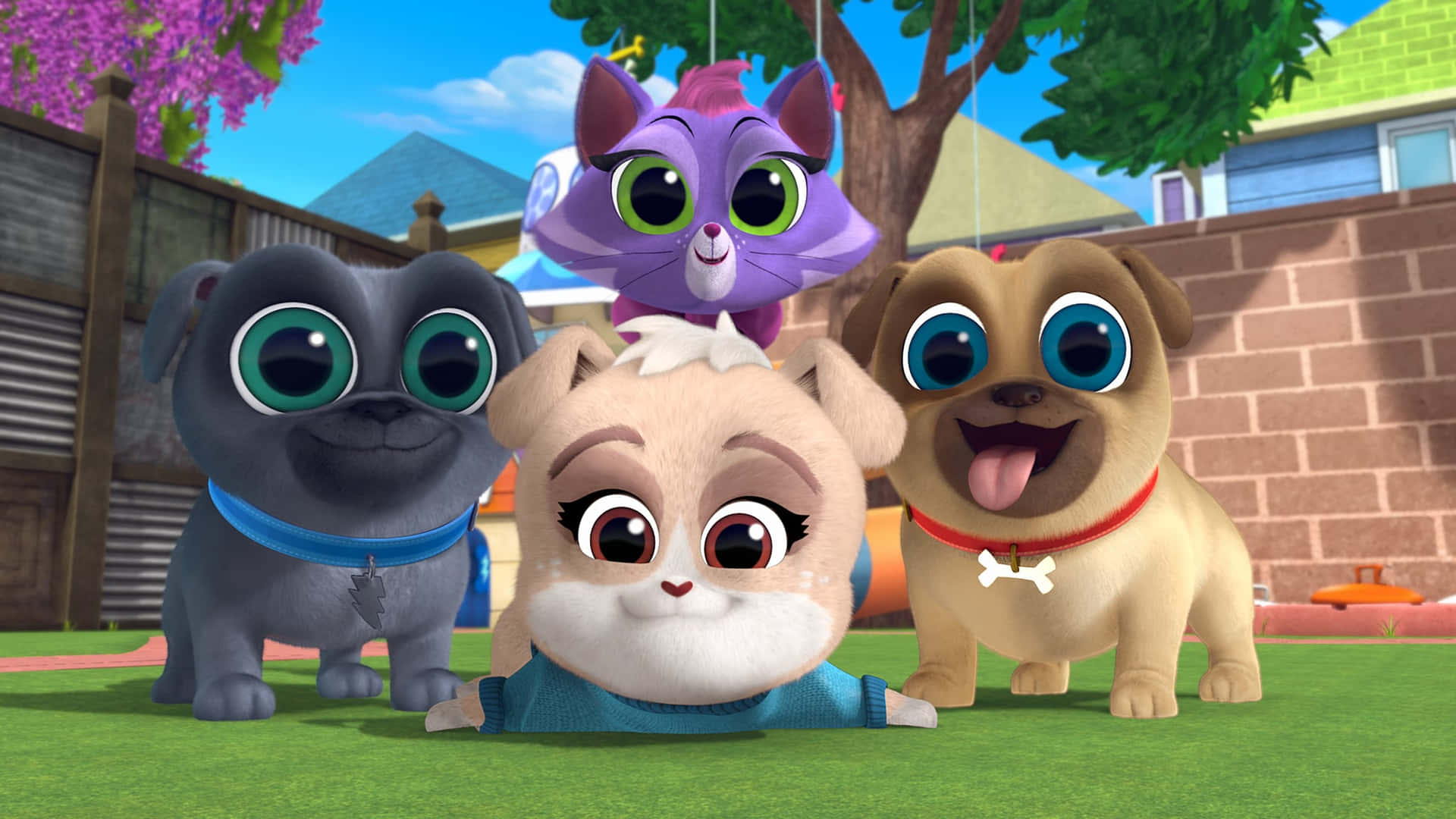 Puppy Dog Pals In Backyard Background