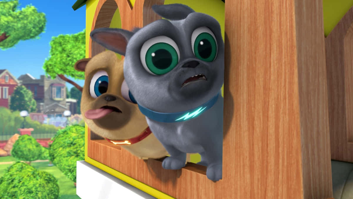 Puppy Dog Pals Looking Out The Window Background