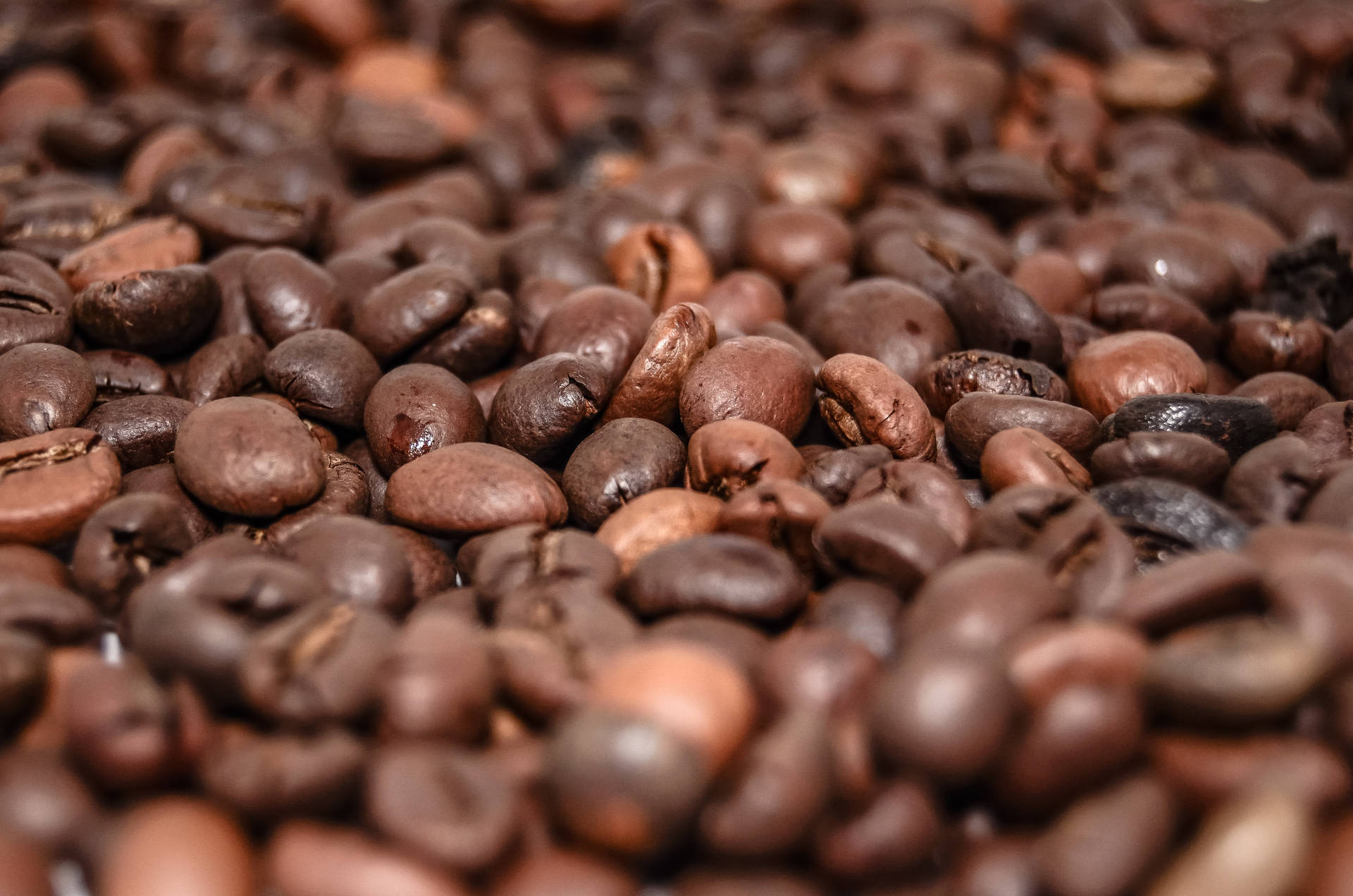 Pure Aroma Of Fresh Dark Roast Coffee Beans - Awakening All Your Senses Background