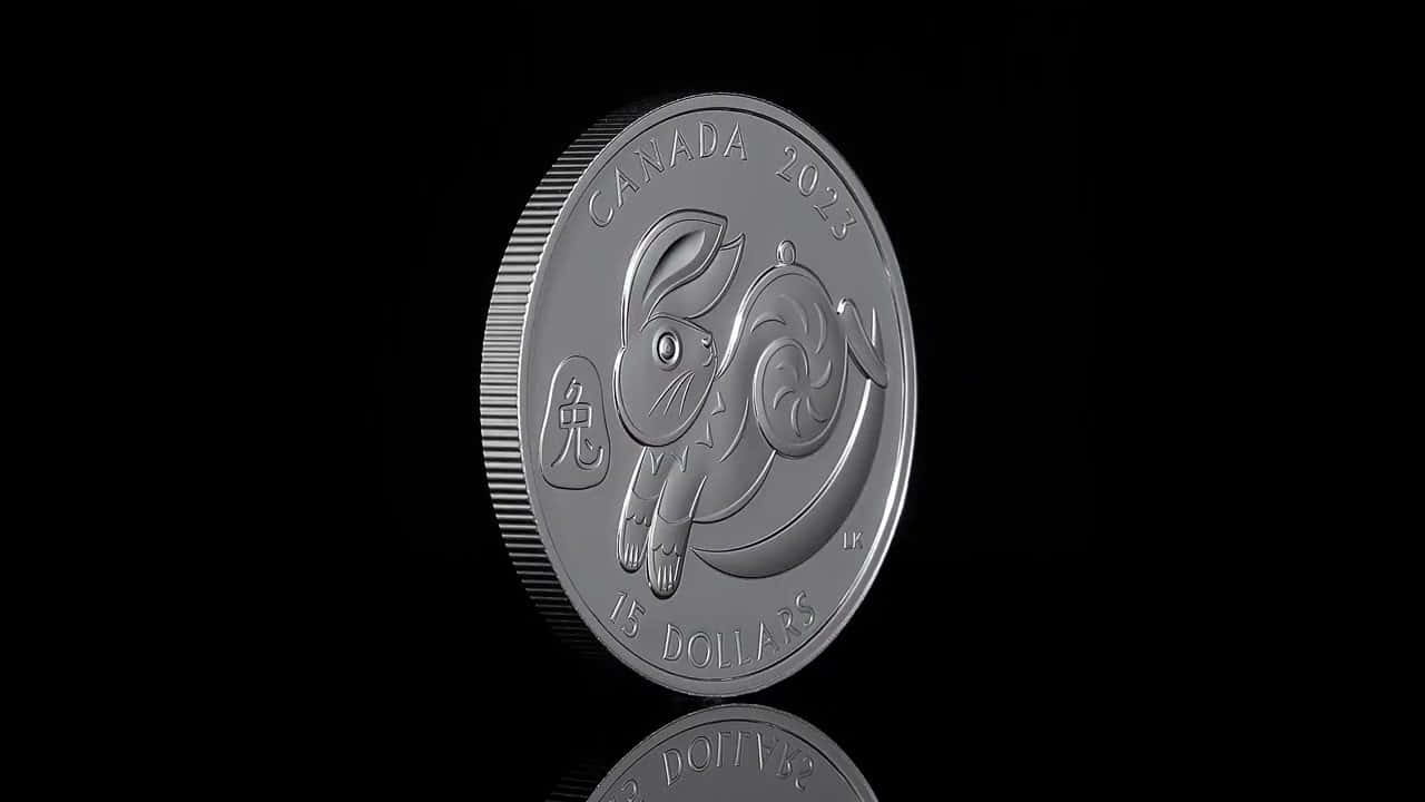 Pure Silver Coin Background