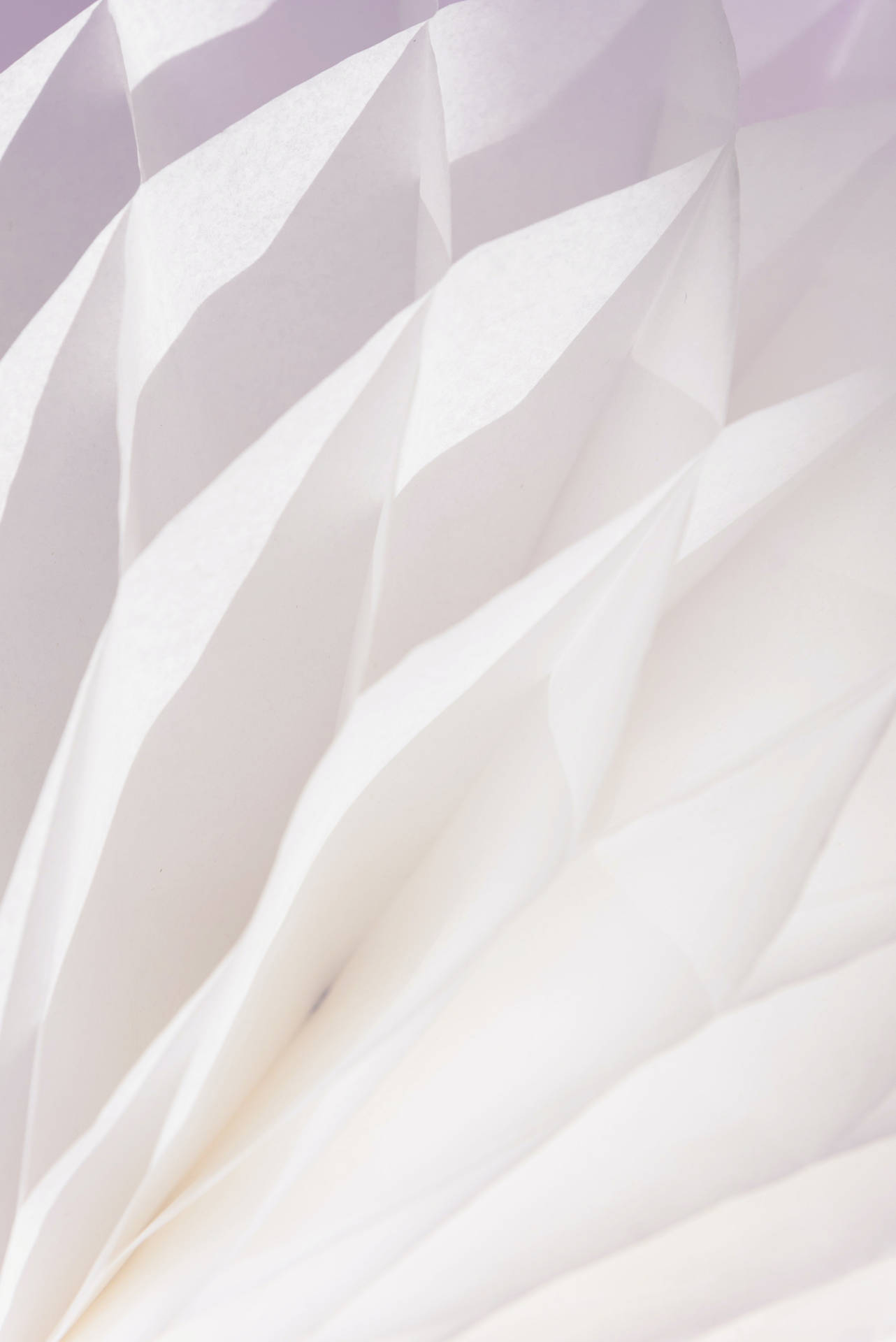 Pure White Abstract Flower Background
