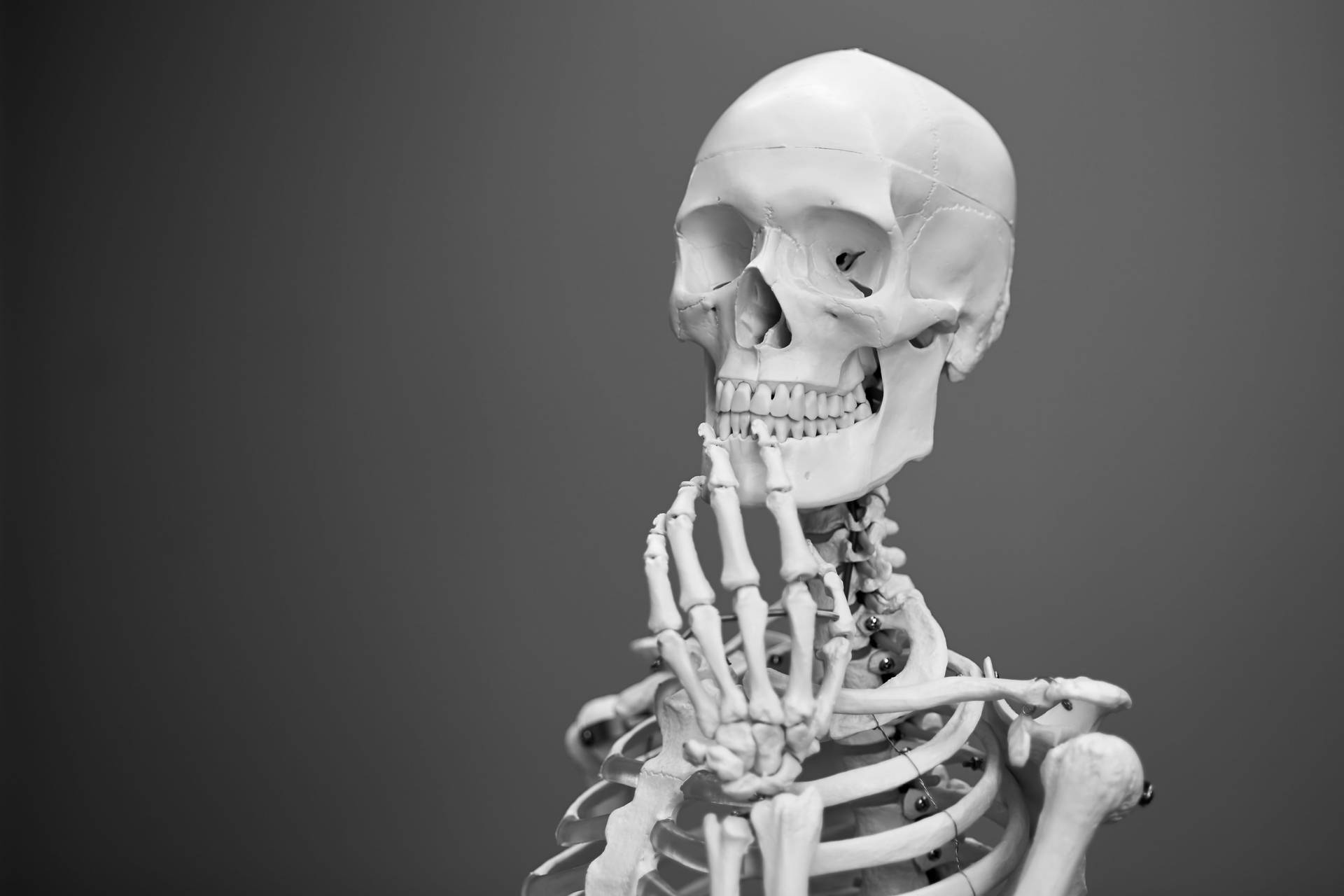 Pure White Skeleton Desktop Background