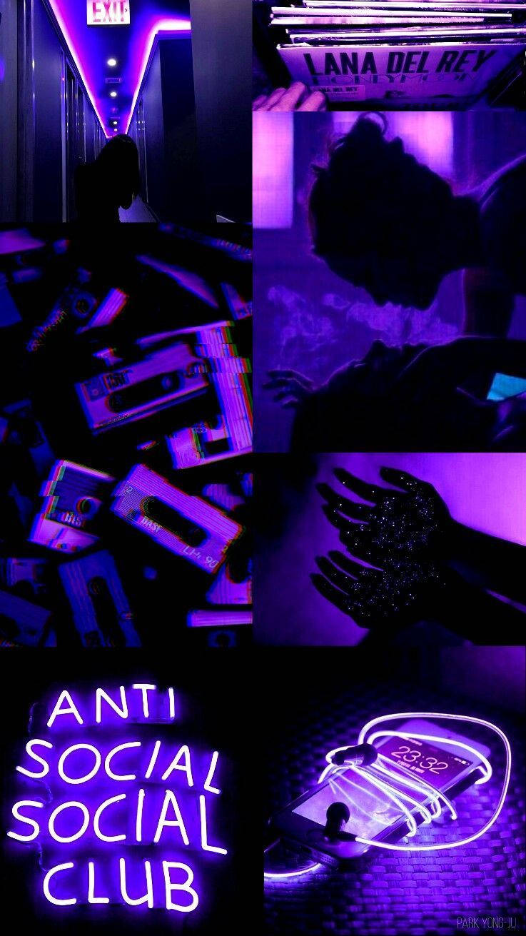 Purple Aesthetic Phone Anti Social Social Club