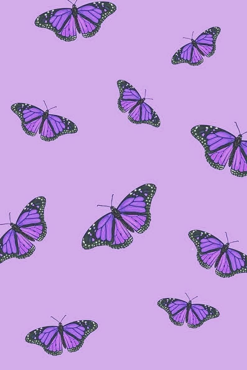 Purple Aesthetic Phone Butterflies Background