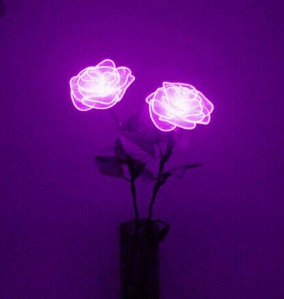 Purple Aesthetic Phone Neon Roses Background