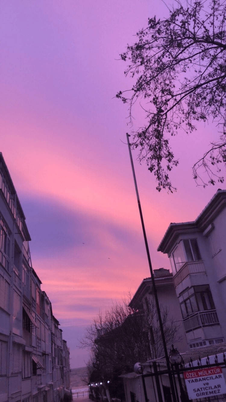 Purple Aesthetic Sky Street View Background