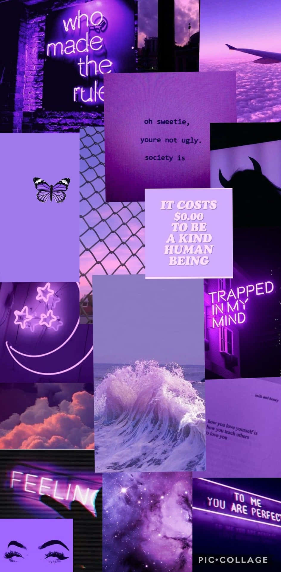 Purple And Blue Collage With Many Pictures
