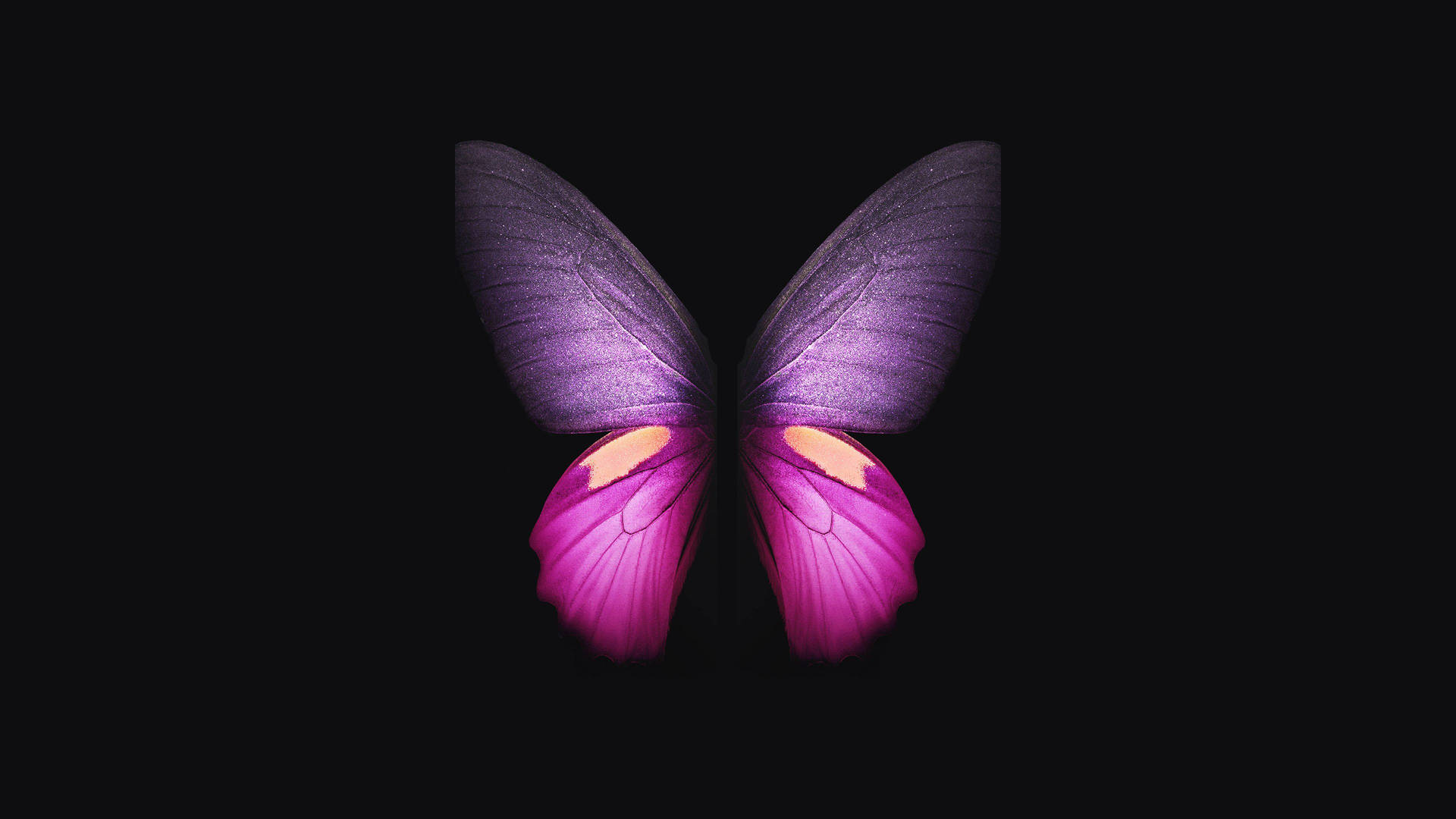 Purple And Cute Pink Butterfly Background