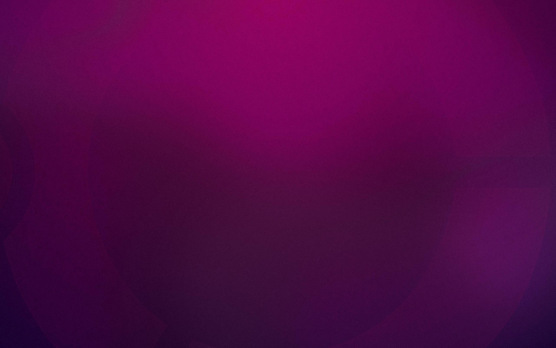 Purple And Magenta Gradient Color