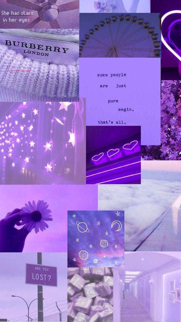 Purple And Pink Collage With Pictures Of People And Flowers