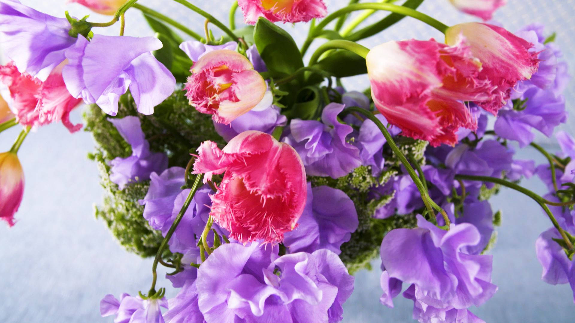 Purple And Pink Real Floral Background