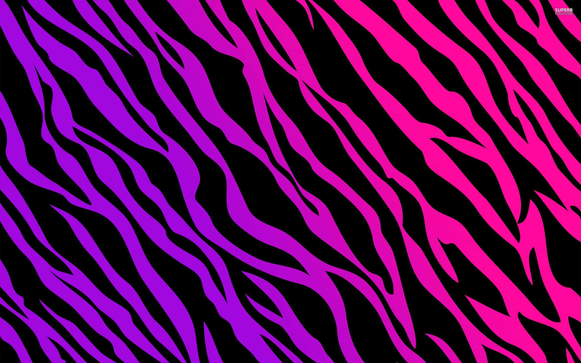 Purple And Pink Zebra Print