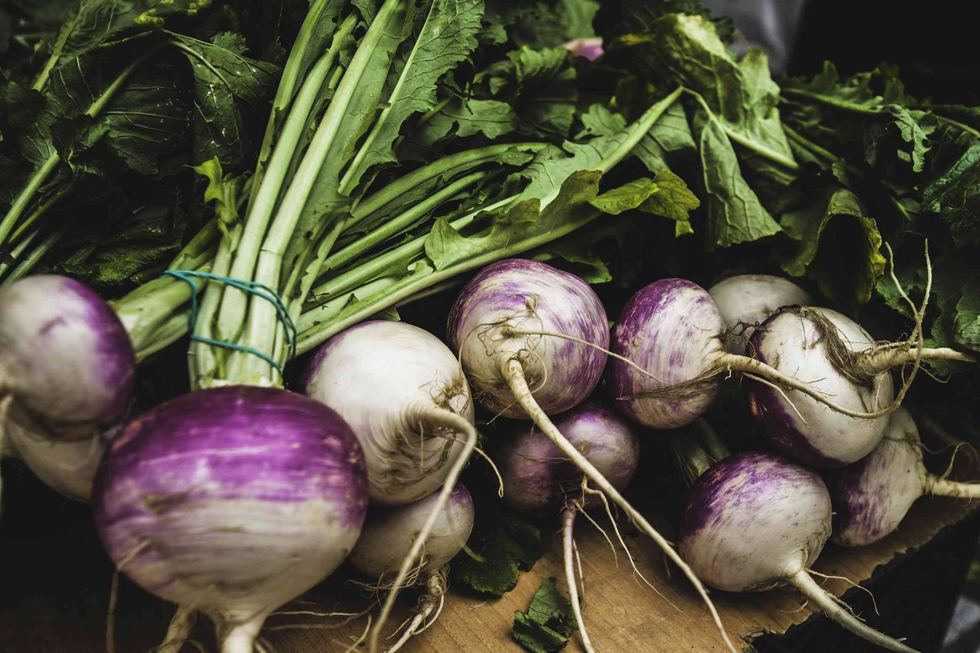 Purple And White Turnips