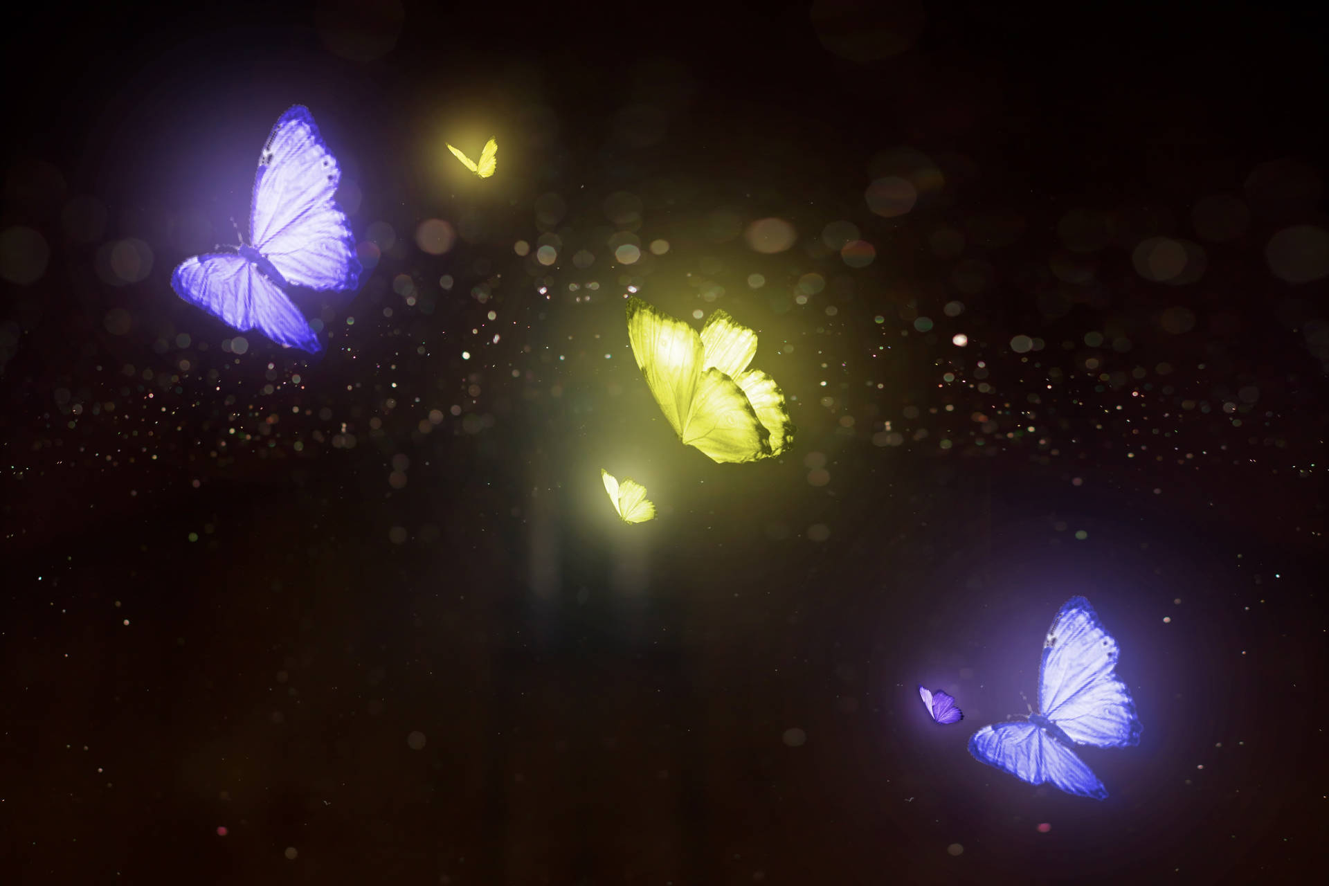 Purple And Yellow Night Butterfly Background
