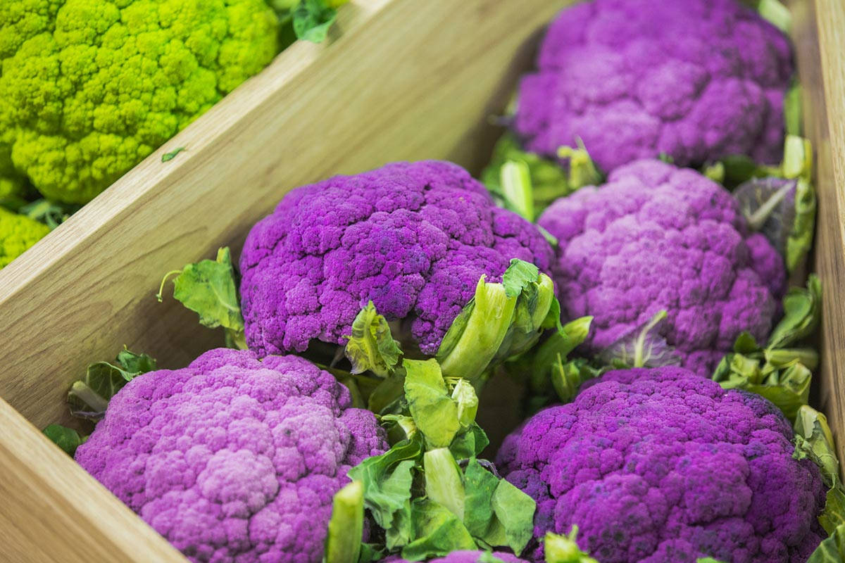 Purple Broccoli In A Box Background