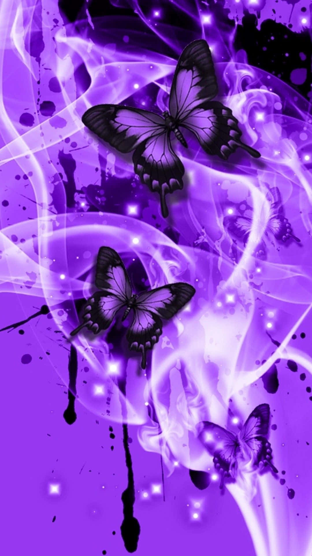 Purple Butterflies On A Black Background Background