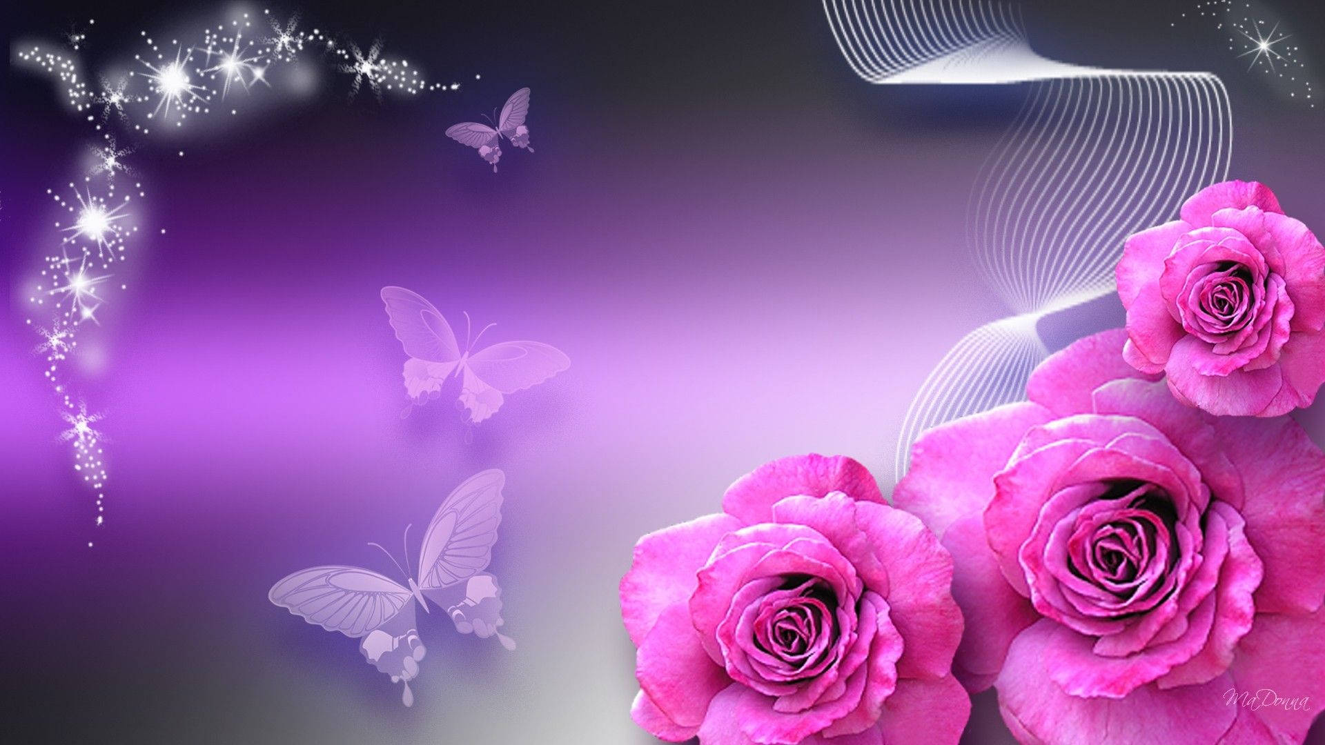 Purple Butterflies Pink Rose Background