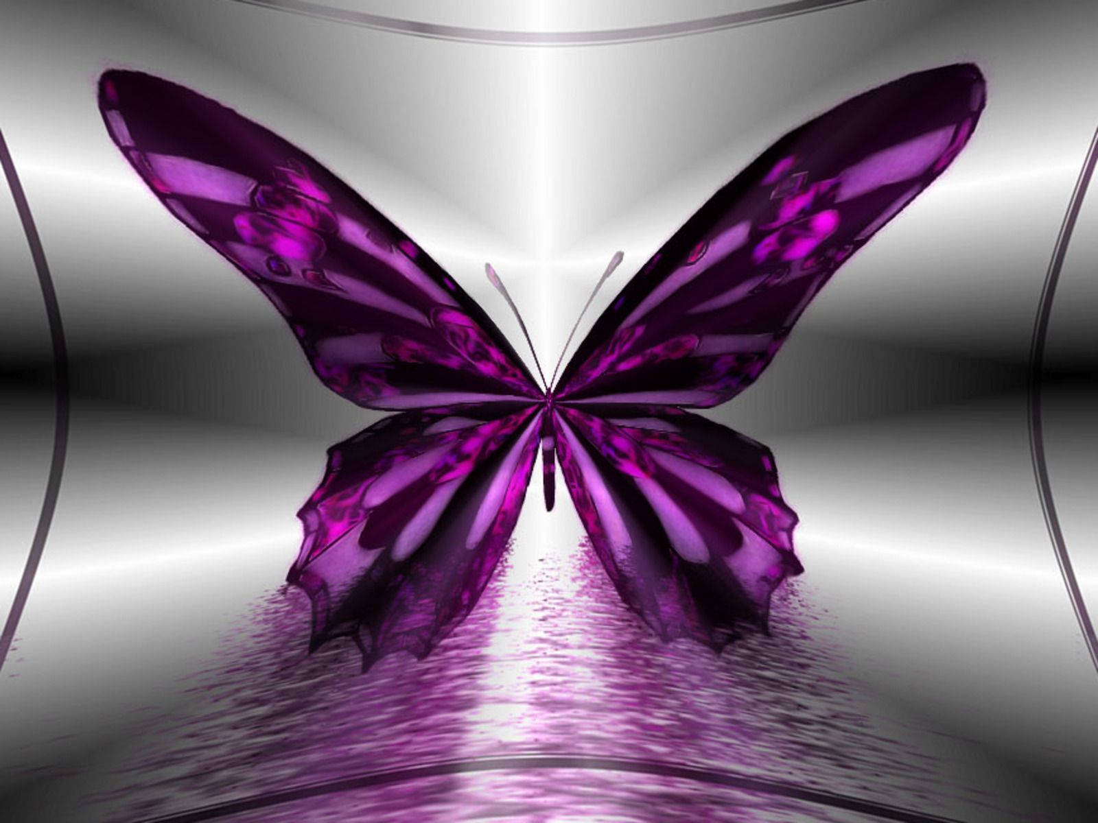 Purple Butterfly 3d Art