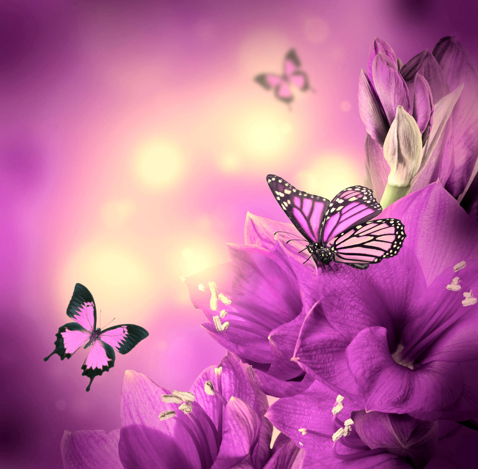 Purple Butterfly Digital Drawing Background