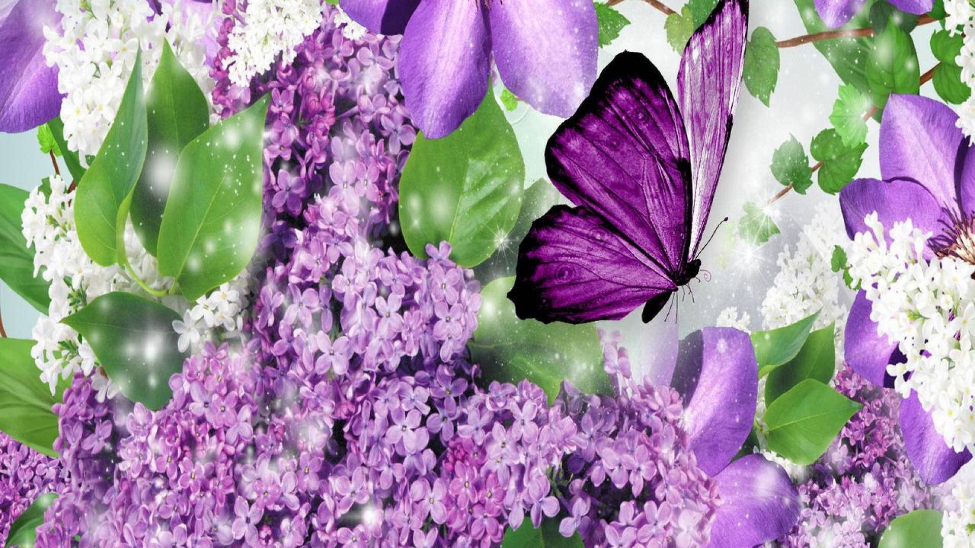 Purple Butterfly On Leaves Background