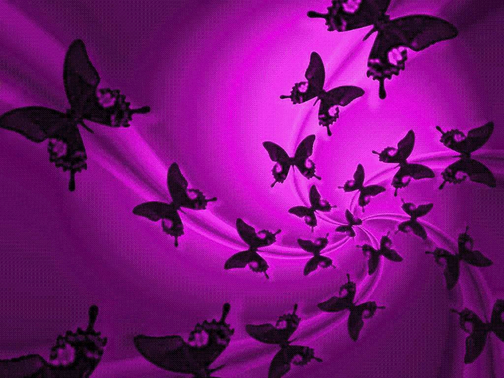 Purple Butterfly Silhouette Background