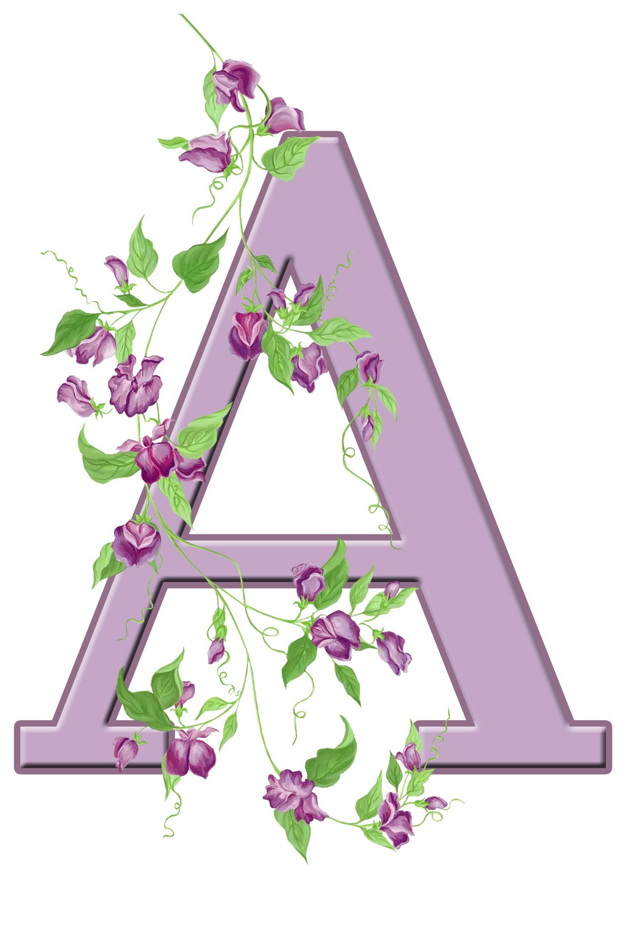 Purple Capital Alphabet Letter A And Flowers