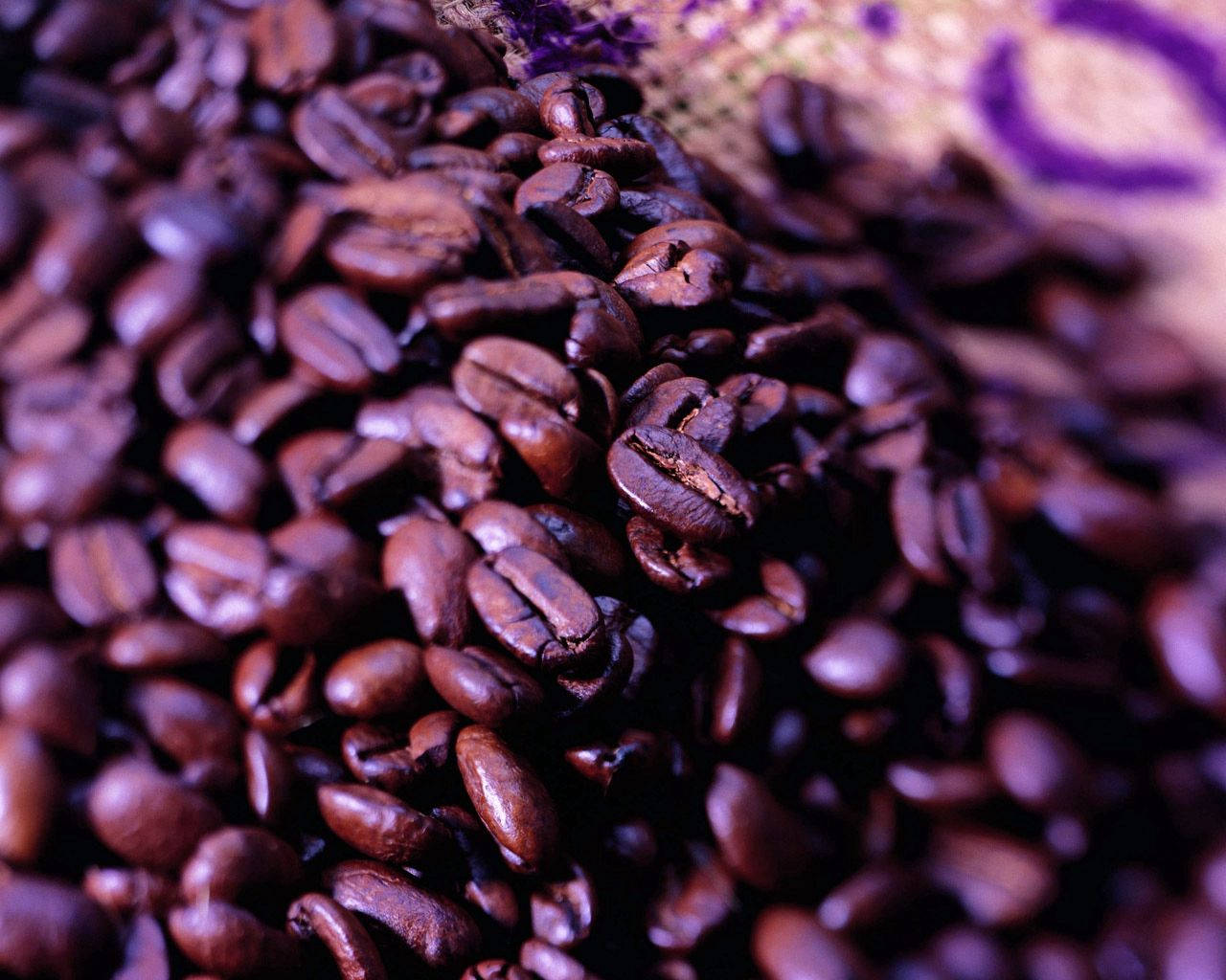 Purple Coffee Beans Background