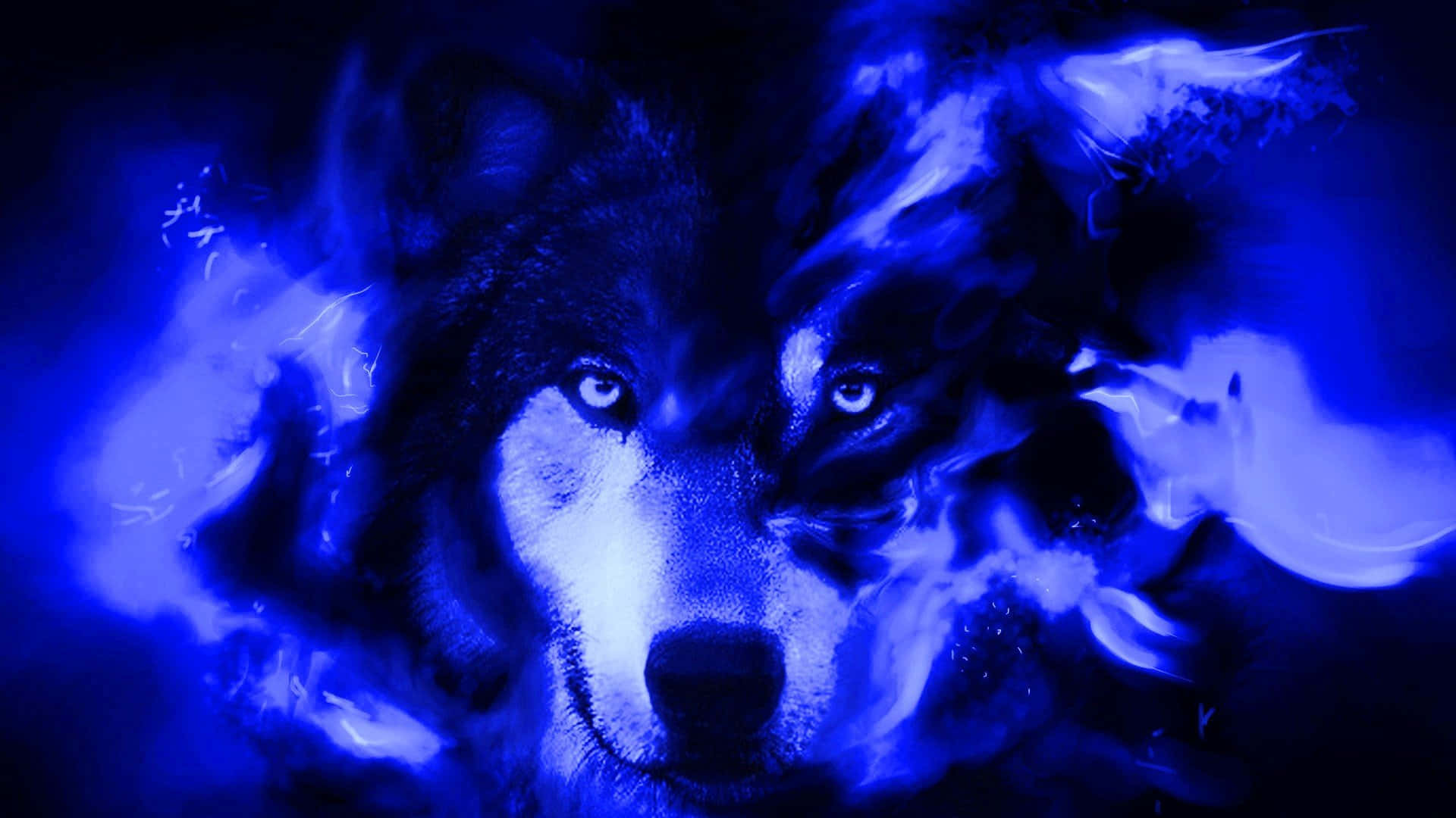 Purple Cool Blue Wolf Desktop Background