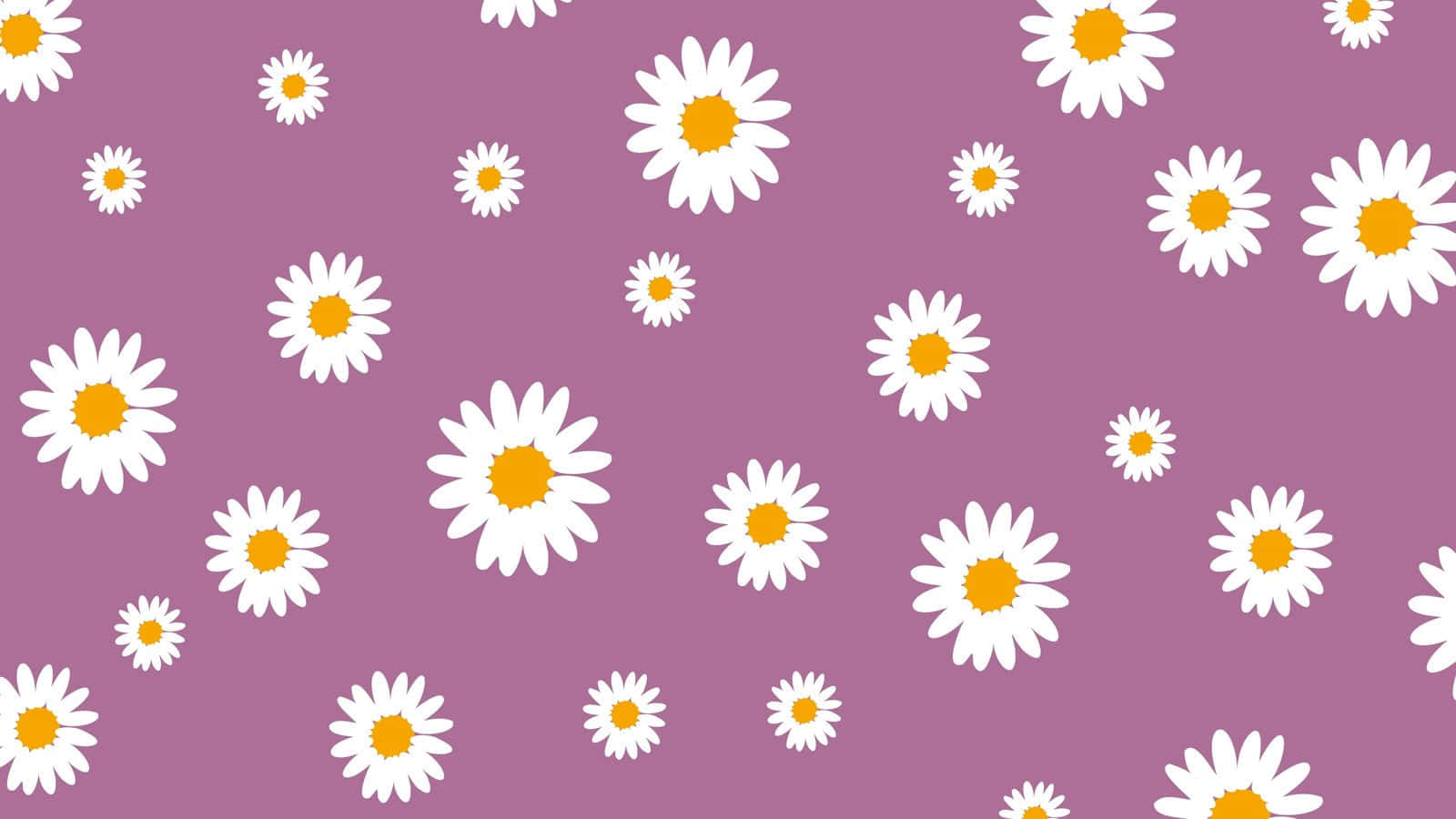 Purple Daisy Aesthetic Computer Background