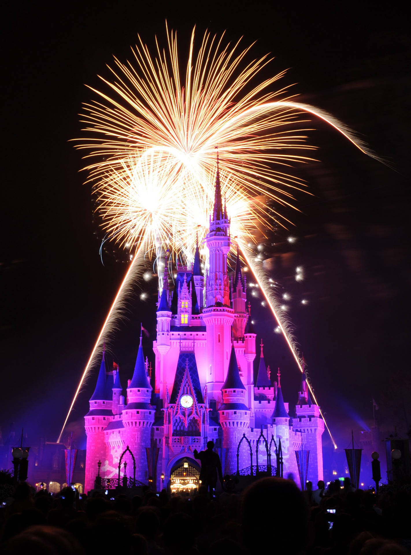 Purple Disneyland Castle Fireworks Display Background