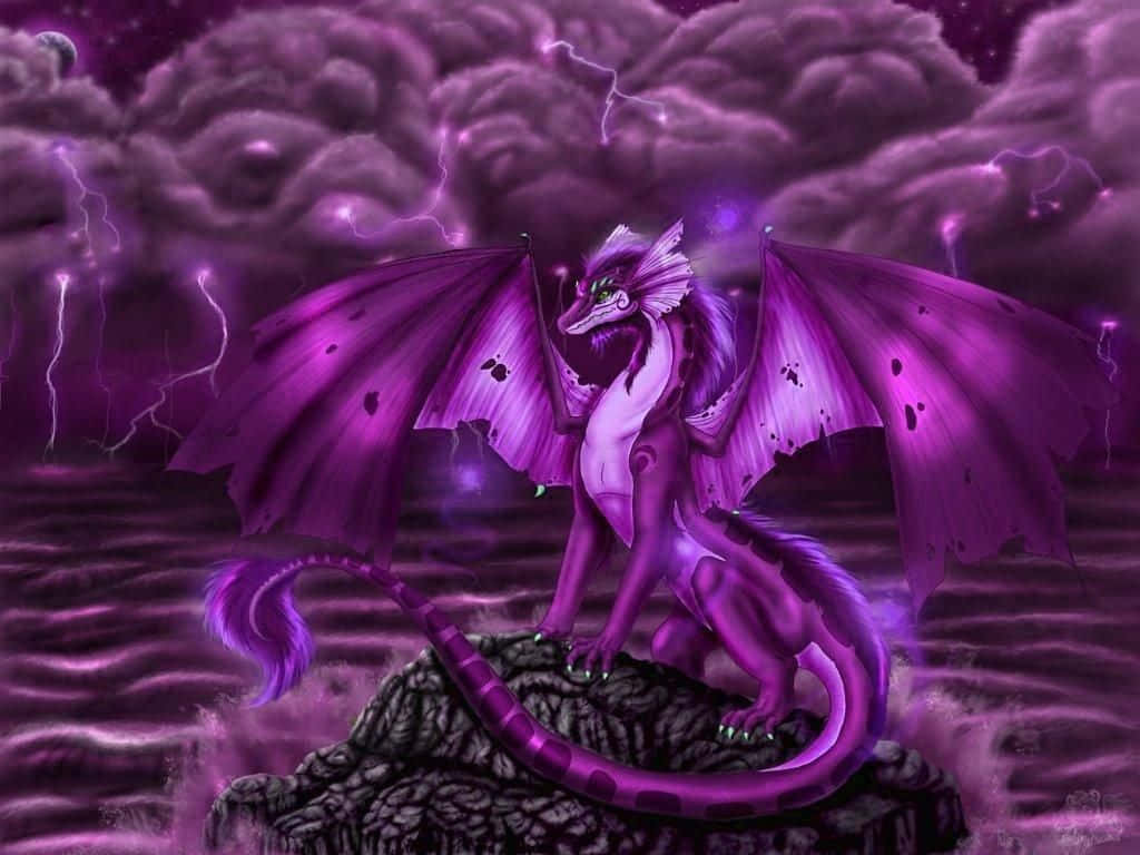 Purple Dragon Sitting On Stone Background