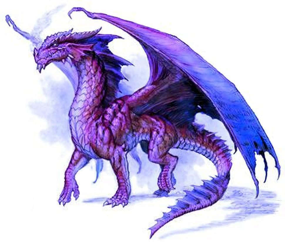 Purple Dragon Smiling
