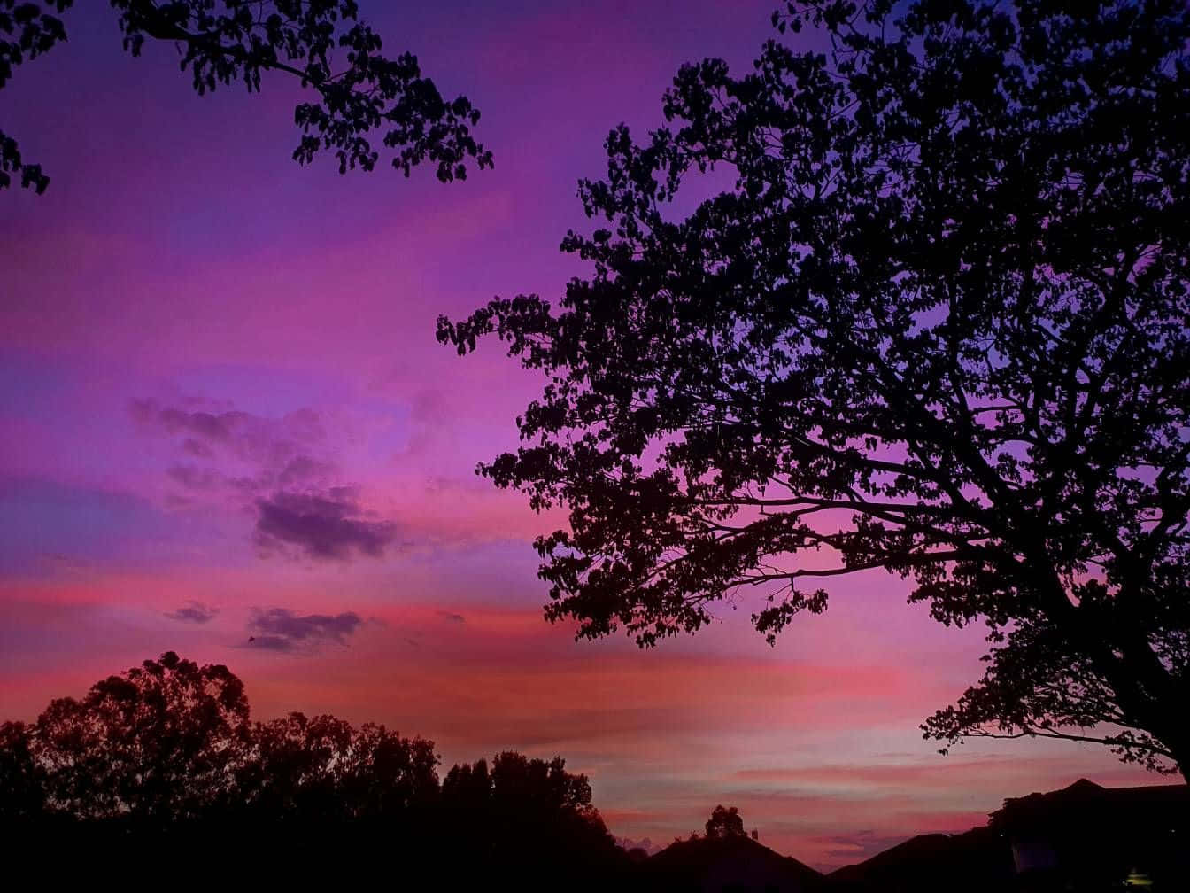 Purple Dusk Trippy Aesthetic Cloud
