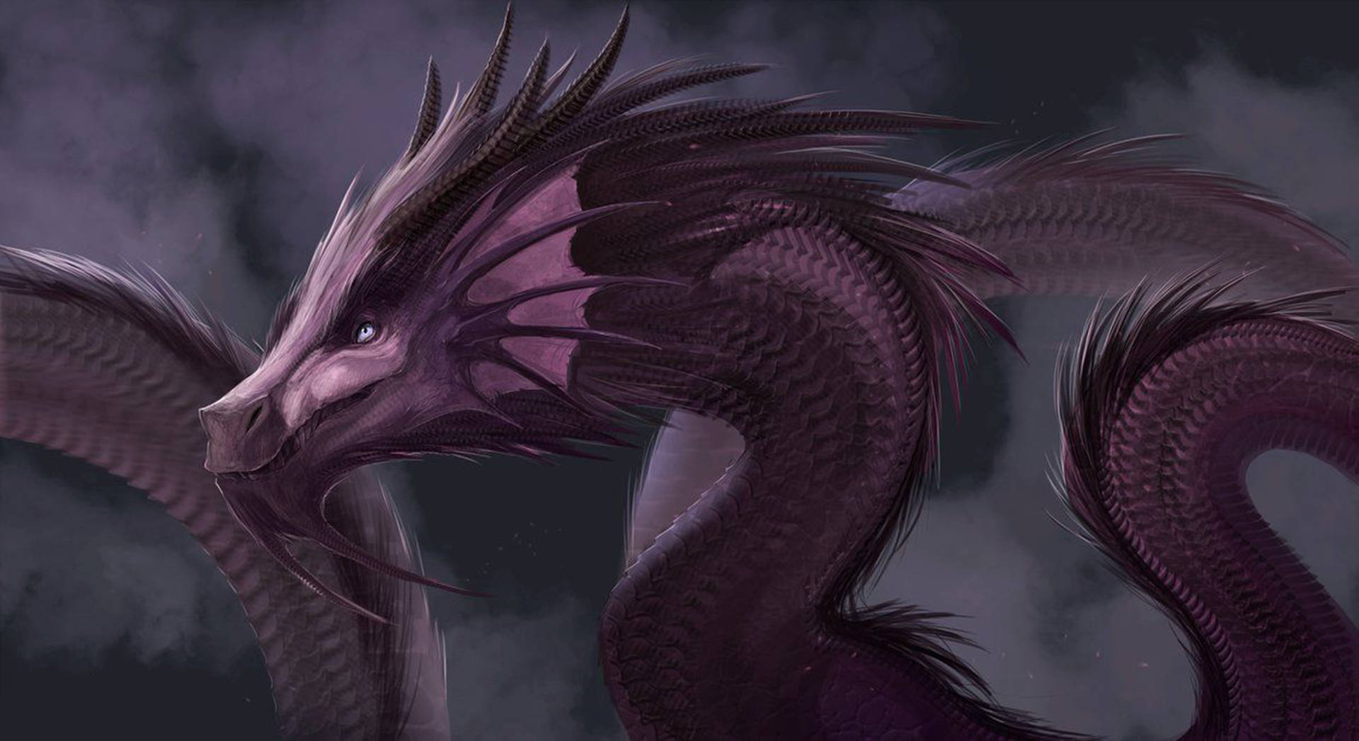 Purple Eastern Dragon