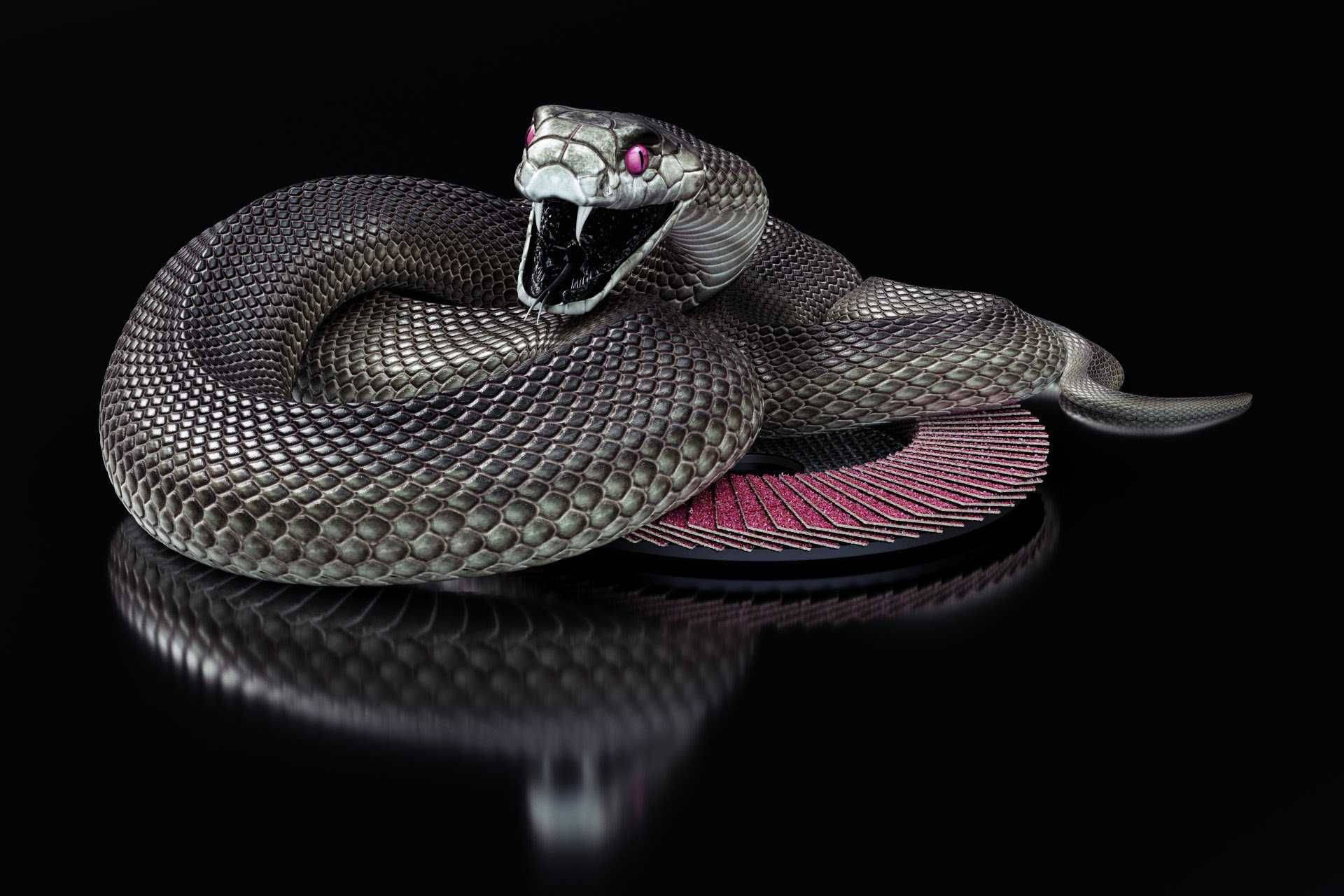 Purple Eyes Black Mamba Snake Background