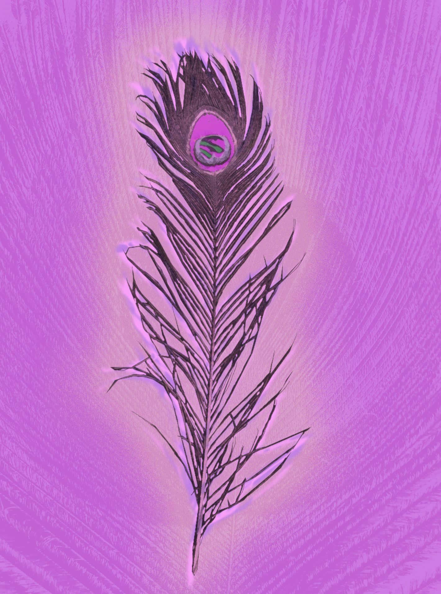 Purple Feather Artwork Background