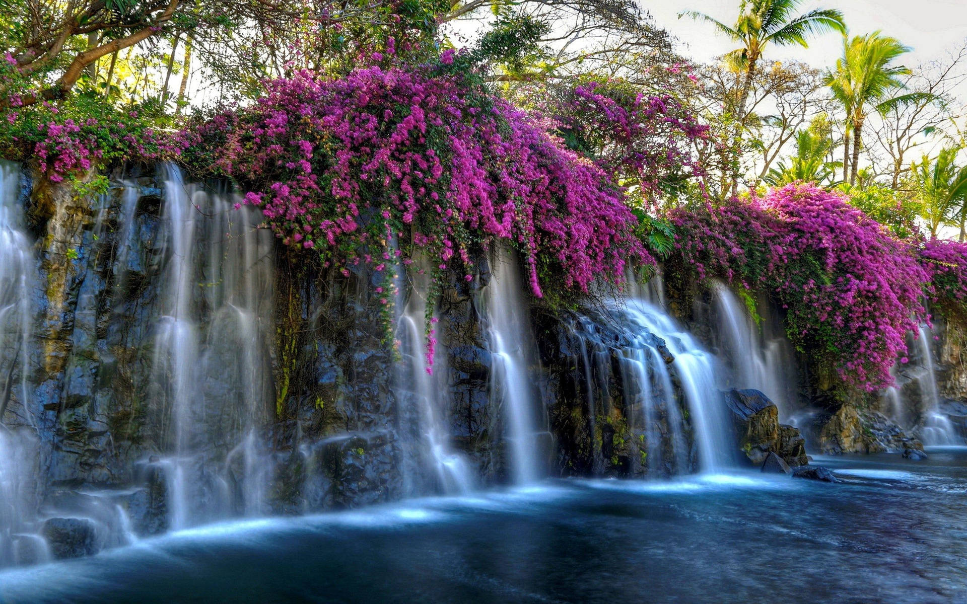 Purple Flowers Beautiful Waterfall Background