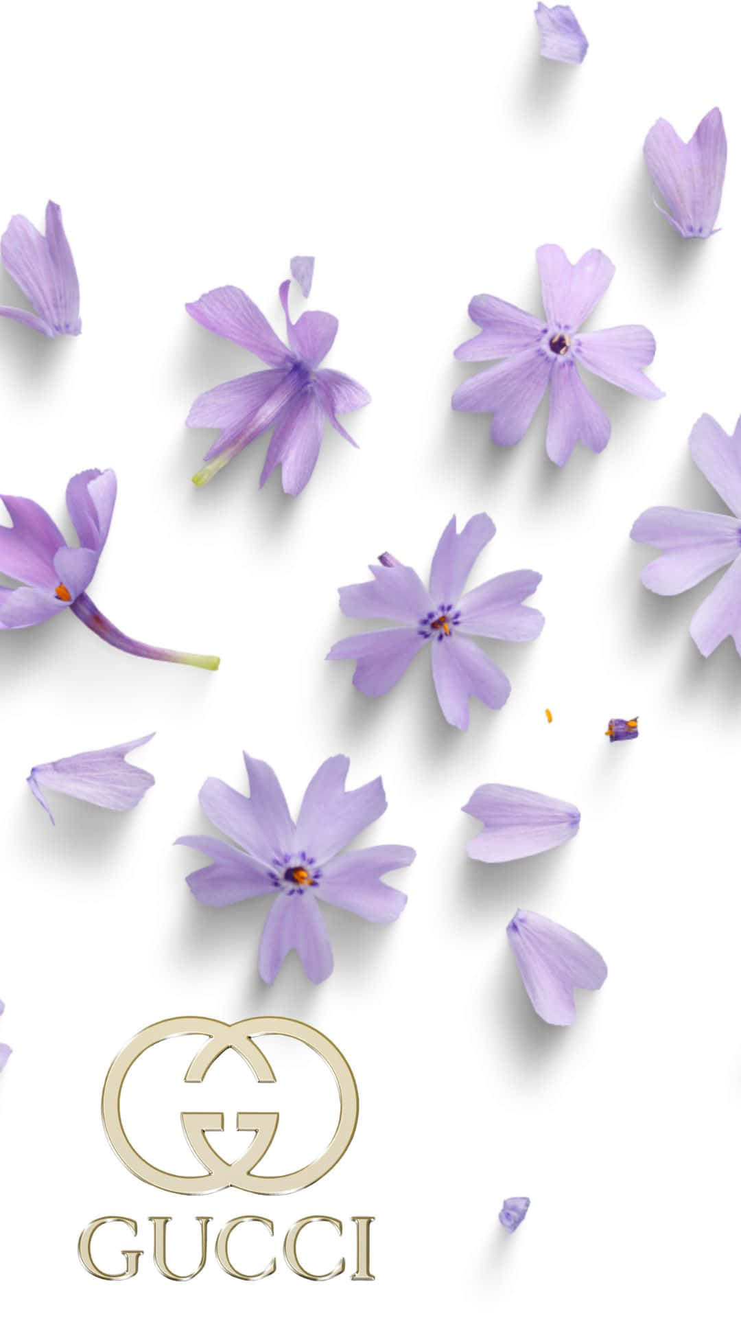 Purple Flowers Gucci Logo Background